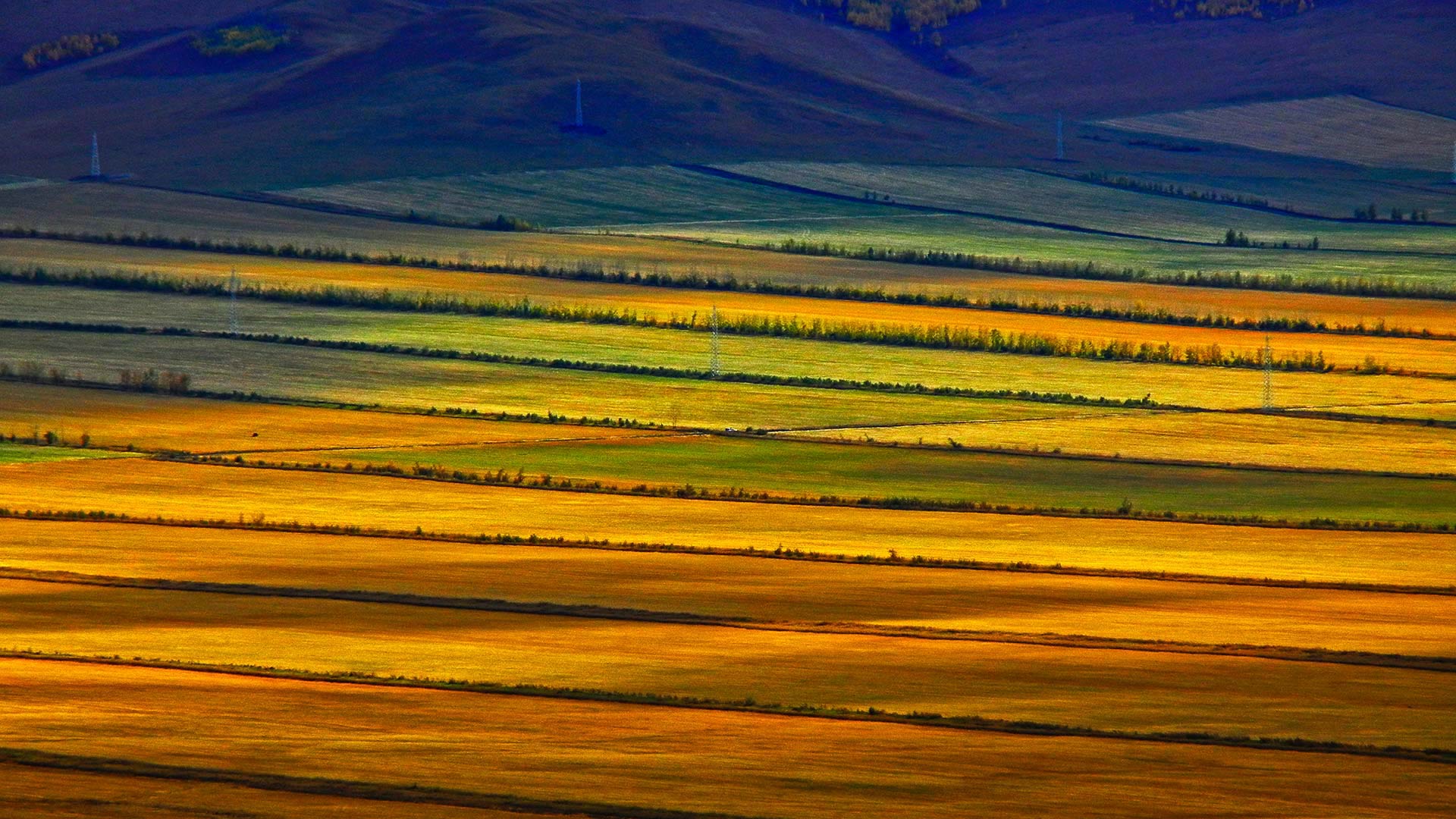 秋天，内蒙古呼伦贝尔草原